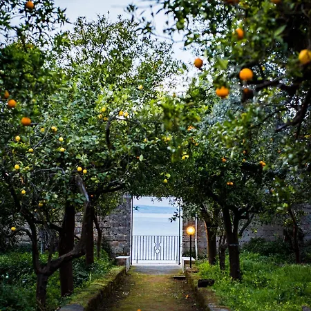 Apartamento Tozzoli 'top' Floor Península Sorrentina